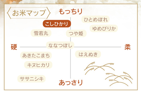 令和7年度産 常陸牛農家が育てるコシヒカリ 20kg 米 お米 白米 こめ 精米 取り寄せ 特産 ごはん ご飯 コメ お取り寄せ ギフト 贈り物 お弁当 弁当 おにぎり ふっくら ツヤツヤ 甘い 農家