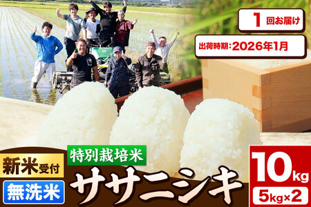 《新米受付》令和7年産【無洗米】特別栽培米 ササニシキ 10kg（5kg×2袋）秋田県産【2026年1月出荷】