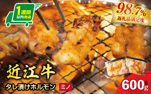 味付けホルモン　秘伝のタレ漬け　近江牛ミノ　600g（300g×2）【FO76W】