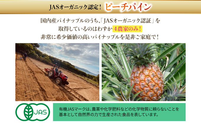 2025年 先行予約 パイナップル ついに実現！栽培期間中 完全有機 無農薬 アナナスピーチ 約3kg 3～6玉 果物 フルーツ