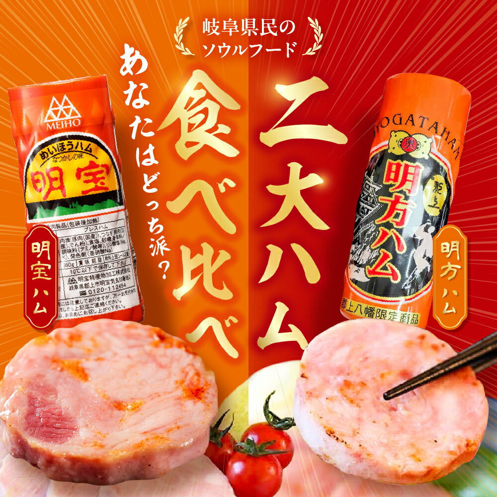 【ふるさと納税】郡上ハム競演セット