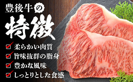 【全6回定期便】おおいた豊後牛 サーロインステーキ 500g (250g×2枚) 日田市 / 株式会社MEAT PLUS　肉 牛肉 和牛[AREI057]