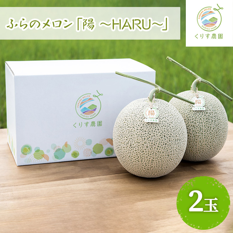 【2026年7月上旬より順次発送】ふらのメロン「陽 ～HARU～」大玉 2玉 計4.6kg以上 ( 赤肉 )( くりす農園 )