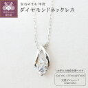 【ふるさと納税】 ネックレス ペンダント ジュエリー レディース アクセサリー 天然 ダイヤモンド 0.08ct 選べる地金 PT900 プラチナ K18 ホワイトゴールド 大人 お洒落 シンプル 存在感 贅沢 4月 誕生石 ジュエリーケース付 ギフトバック付 保証書付 k295-019