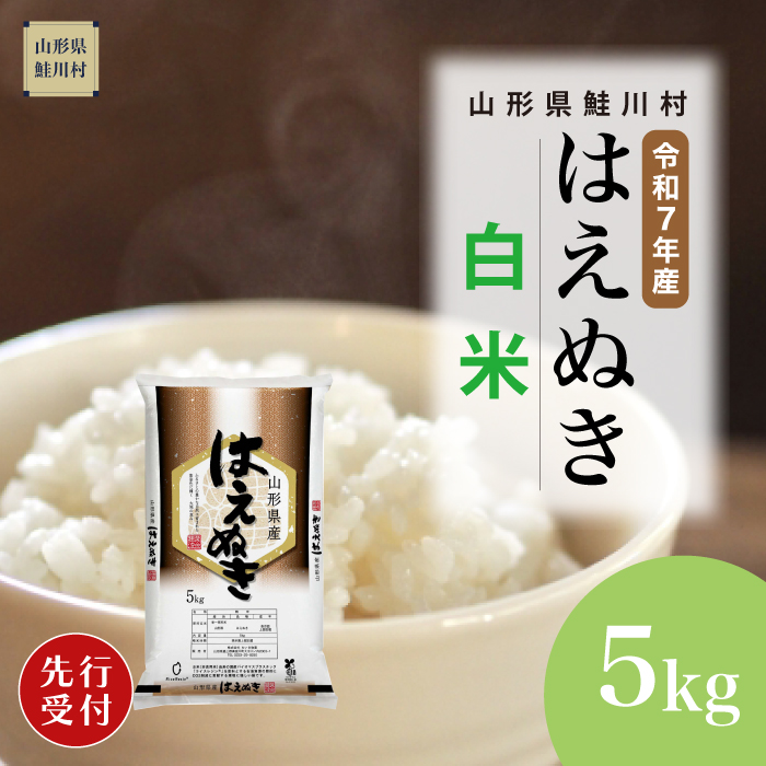 ＜令和7年産米先行受付＞ 鮭川村産 はえぬき 【白米】 5kg （5kg×1袋） 配送時期指定できます！