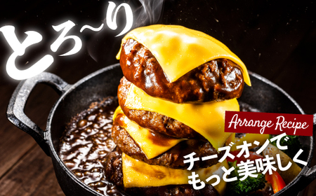 AB265.累計100万個突破キャンペーン！今だけプラス2個！大容量デミハンバーグ【150g×20個+2個】