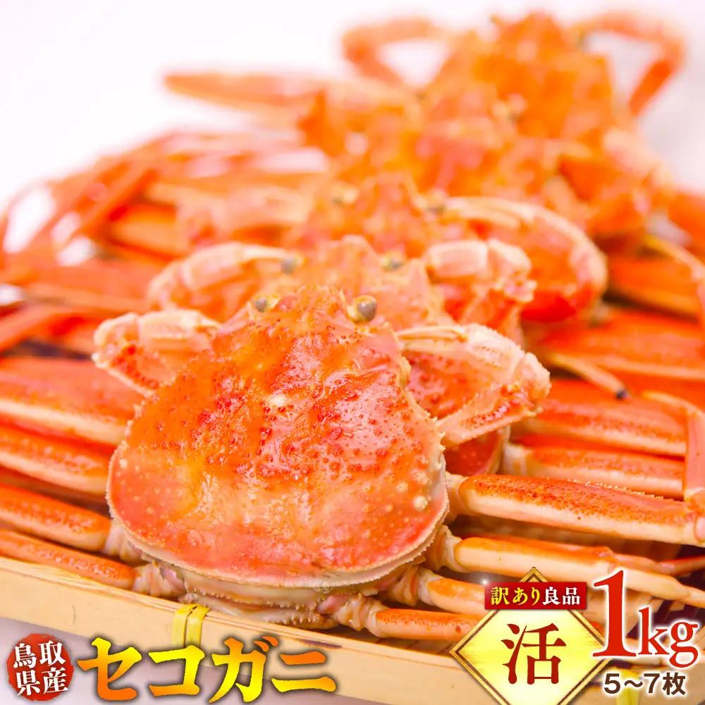 【活】鳥取県産 セコガニ 訳あり良品 1ｋg（5～7枚）| セコガニ 訳あり活 足1本  不揃い たっぷり ※2026/11/6～2026/12/25に順次発送予定  ※着日指定不可  離島不可（北海道、沖縄本島は配送可能）