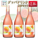 【ふるさと納税】□宮崎果汁　グァバドリンク3本セット(合計2.16L)