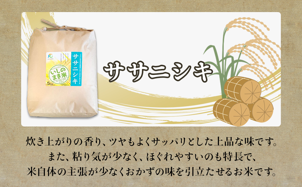 令和６年産 米 ササニシキ 定期便 5kg × 10回 お米 精米 白米 