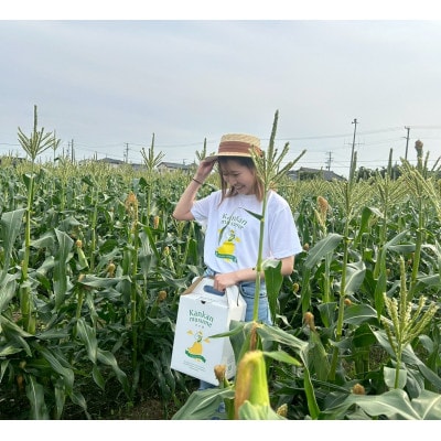 【2026年6月〜7月順次発送】とうもろこし 30本 甘々娘(A品) 朝採り スイートコーン【配送不可地域：離島・北海道・沖縄県・東北・中国・四国・九州】【1713801】