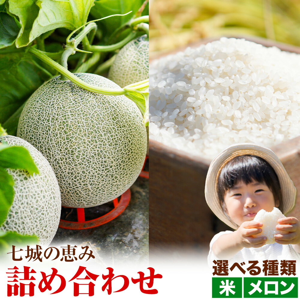【ふるさと納税】【先行予約】七城の恵み 詰め合わせ 選べる お届け内容 特別栽培米 自然栽培米 ヒノヒカリ 春風レッド 肥後グリーン メロン 株式会社七城の恵み《2026年5月上旬-5月下旬頃出荷》熊本県 菊池市 米 メロン ひのひかり つるたファーム