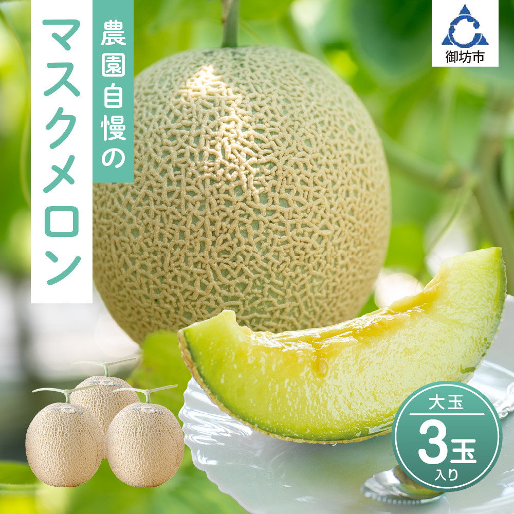 
            農園自慢の「マスクメロン」大玉×3玉入り《先行予約》2026年6月下旬から順次発送【配送不可地域：北海道 ・青森・秋田・岩手・沖縄・離島】
          