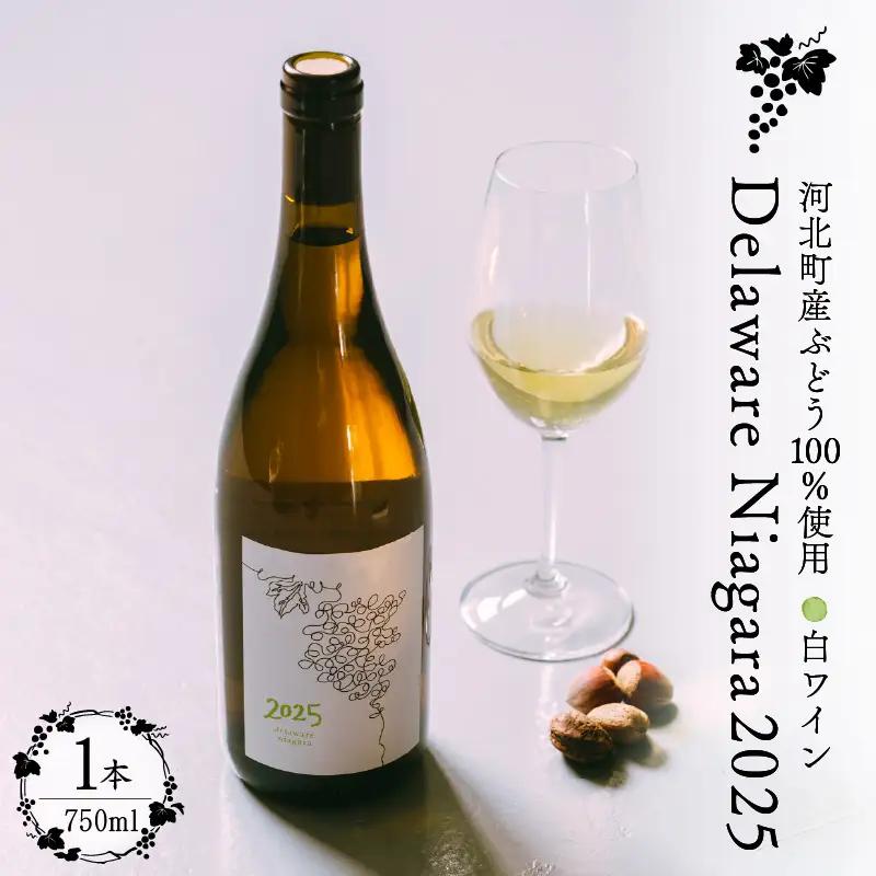 ワイン デラウェア ニアガラ 2025 750ml 河北町産 ワイン