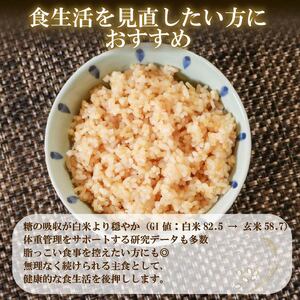 【パックご飯】 玄米 国産こしひかり 無添加一分づき 120g 計48個 パックご飯