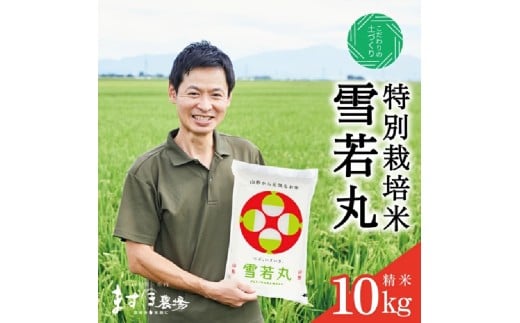 雪若丸 米 令和7年産 10kg 5kg×2袋  精米 白米 特別栽培米 特栽米 山形つや姫マイスター 金賞受賞 農家 鶴岡ごはん日本一 入賞 減農薬 減化学肥料 産地直送 お米 ごはん ライス おいしい 山形 酒田　SC0665