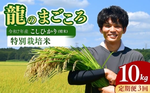 ＜3ヵ月定期便＞【令和7年度米】龍ケ崎の特別栽培米 コシヒカリ 10kg(5kg×2袋) ❙ こしひかり お米 米 こめ 白米 精米 米 冷めてもおいしい 美味しい こだわり いばらきみどり認定 おにぎり 茨城県 龍ケ崎市産