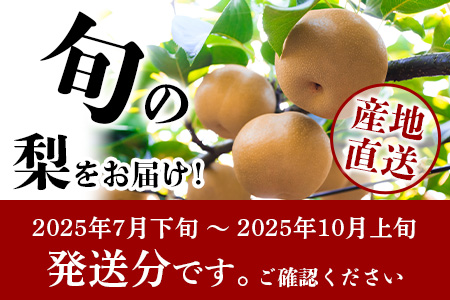 先行予約【2025年7月下旬～発送分】東光寺 梨 2.5kg (5～7玉)  完熟 なし フルーツ 果物 夏 旬 幸水 豊水 秋月 新高 新興 シャリシャリ