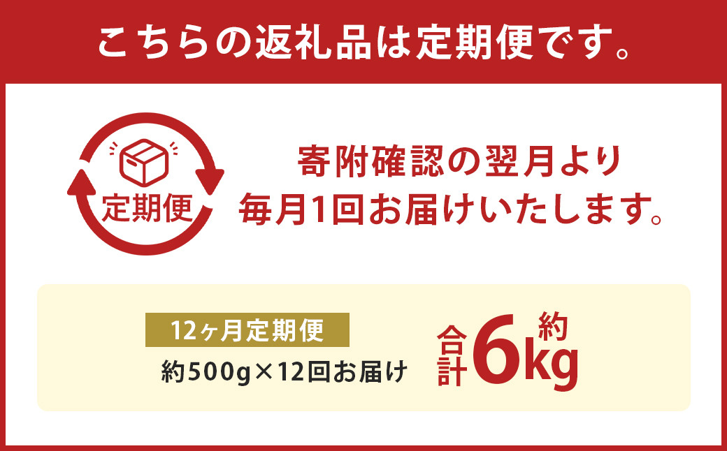 【12か月定期便】熊本産 馬肉  しゃぶしゃぶ 約500g