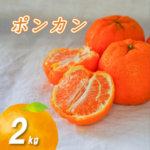 【2027年2月下旬から順次発送】低農薬栽培ポンカン 2kg | 数量選択可 ポンカン みかん 数量限定 みかん 愛媛県産 みかん ぽんかん 松山市 みかん 中島 みかん ぽんかん 低農薬 みかん 蜜柑 ポンカン みかん 愛媛県 松山市【NO025】