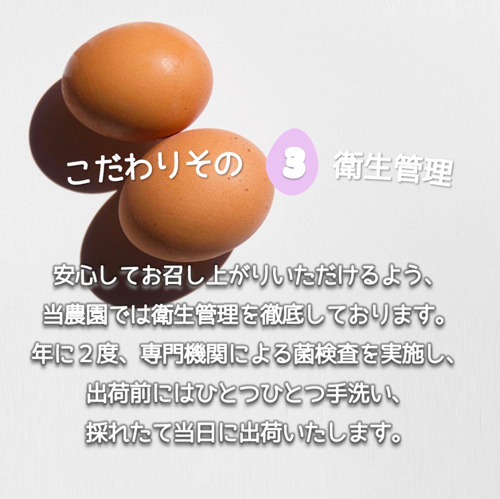たかはしさんの新鮮たまご30個_イメージ4