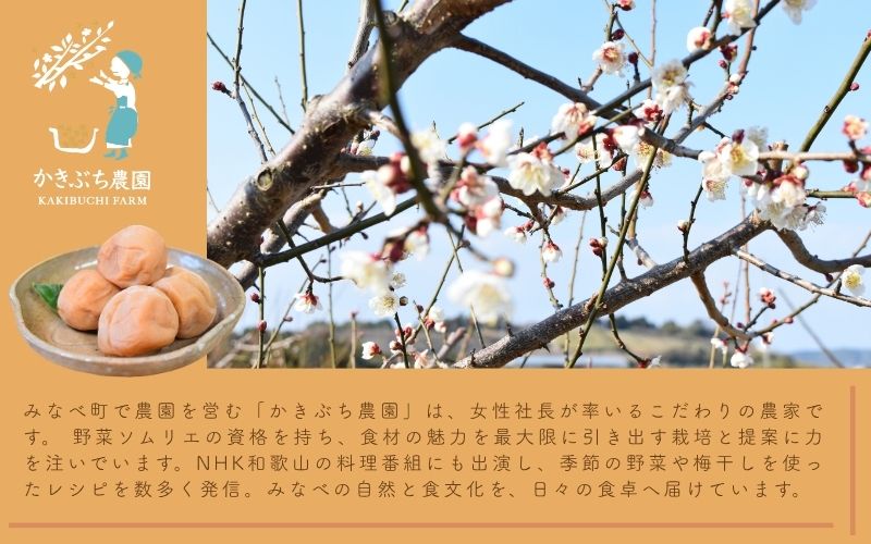 【塩分 18％】和歌山県 紀州南高梅 野菜ソムリエが作る藻塩仕込み こだわりの梅干し 6個入り　【kkbc001】