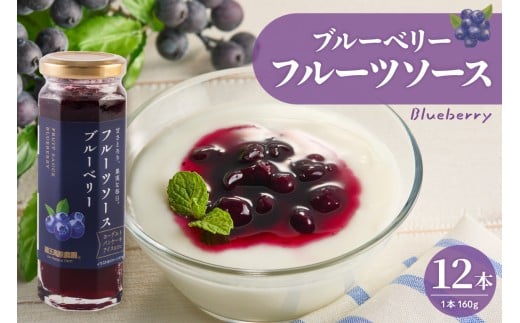 フルーツソース160g　ブルーベリー（12本）和歌山産業提供 山形県 東根市 hi070-010