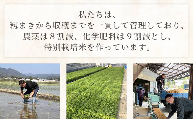 【12回定期便】特別栽培米 ミルキークイーン ５ｋｇ 令和８年産 Wsr-0007