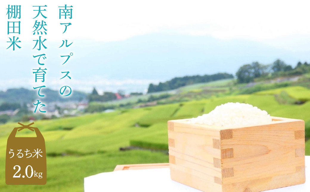 
                  【うるち米 2kg】南アルプスの天然水で育てた棚田米 ALPCC001
                