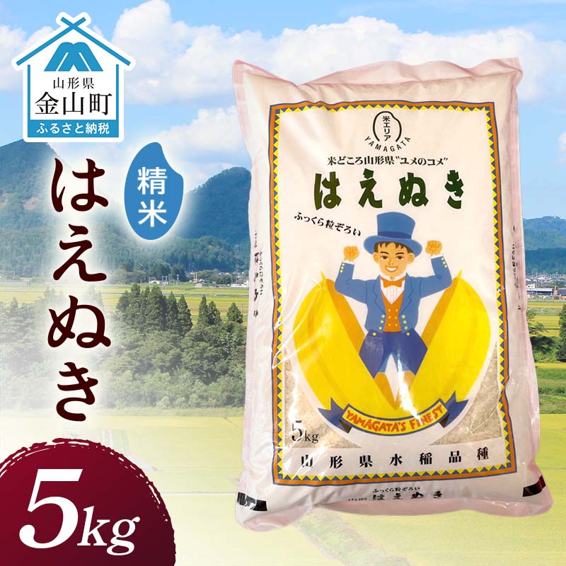 【ふるさと納税】令和7年産 金山産米 はえぬき 【精米】（5kg）米 お米 白米 ご飯 精米 ブランド米 送料無料 東北 山形 金山町 F4B-0679