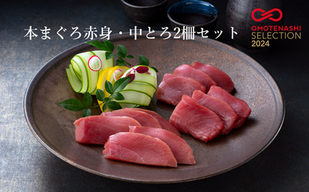 本まぐろ赤身・中とろ２柵セット