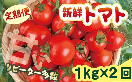 先行受付 トマト 1kg 2回 計2kg 安田町産 定期便 トマト TR1000