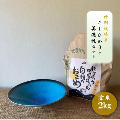 ふるさと納税 多治見市 【令和7年産:玄米】特別栽培米コシヒカリ(2kg)+【美濃焼】青輝貫入7寸鉢