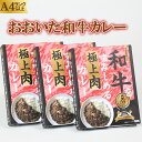 【ふるさと納税】杵築産おおいた和牛カレー3食セット（レトルトカレー）＜120-001_5＞