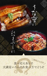 【全3回定期便】大型サイズ ふっくら柔らか 国産うなぎ蒲焼き 2尾×3回 計6尾 約1020g【tkb309】 