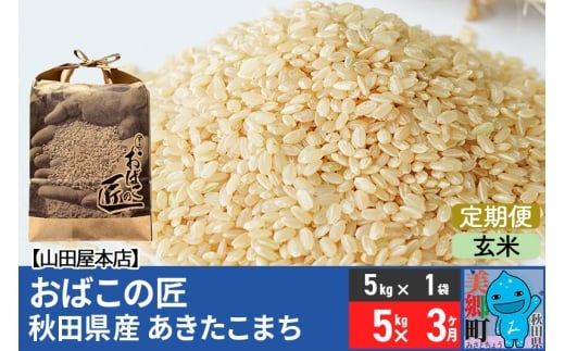 《定期便3ヶ月》令和7年産 おばこの匠 秋田県産あきたこまち 5kg×3回 計15kg（玄米）5kg袋 秋田こまち お米