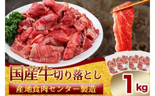 国産牛切り落とし1kg（250g×4パック）（DV071）