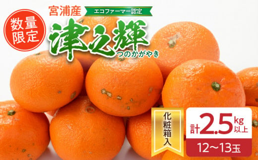 数量限定 津之輝 計2.5kg以上 果物 フルーツ くだもの みかん 柑橘 先行予約 2025年 期間限定 デザート おやつ ジュース フルーツサンド おすすめ 国産 食品 ギフト 贈り物 贈答 ご褒美 お祝い 記念日 おすそ分け 産地直送 宮崎県 日南市 送料無料_BA69-23