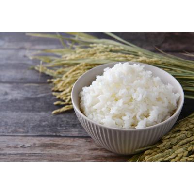 ふるさと納税 陸前高田市 先行受付 令和8年産 ササニシキ 白米 5kg マルキヨファーム 米 お米 精米 ふっくら もっちり |  | 01