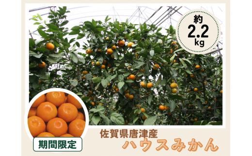 【期間限定】唐津産　ハウスミカン 2.2kg / 佐賀県 /佐賀県農業協同組合　さが風土館季楽直販本店  [41AABE118]