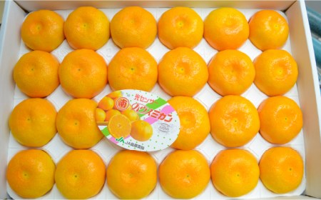 【2026年6月中旬〜発送】ハウス みかん 約2kg / みかん ミカン 蜜柑 果物 フルーツ 贈答用 化粧箱 / 南島原市 / 島原雲仙農業協同組合  東南部基幹センター [SAC003]