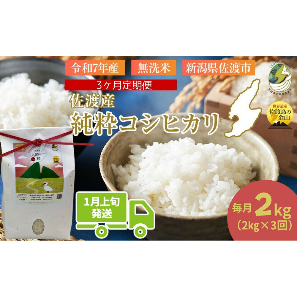 【ふるさと納税】＜定期便3回＞【令和7年産・数量限定】新潟県佐渡産の純粋コシヒカリ　精米【無洗米】2kg×3回　送料無料　R8年1月上旬～R8年3月上旬の3回送付 | 佐渡市 純粋コシヒカリ 新潟県産 美味しい お米 ご飯 料理 おすすめ 送料無料