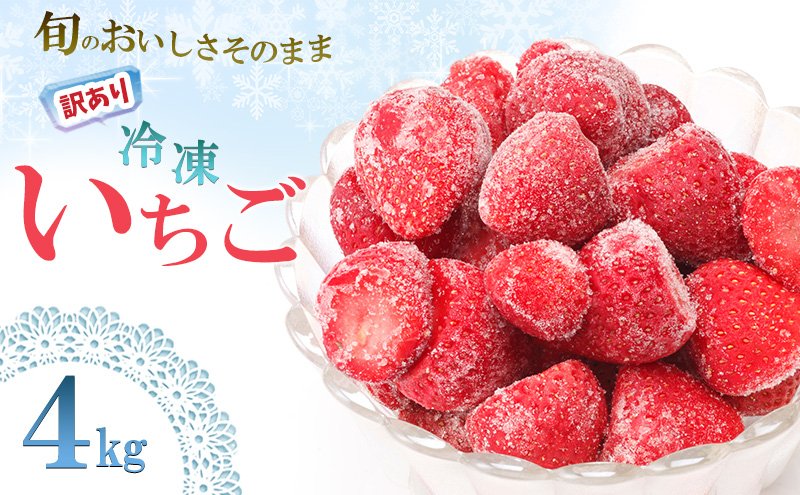 訳あり いちご 白木のいちご 旬のおいしさそのまま 冷凍いちご 4kg わけあり イチゴ 苺 果物 デザート ※配送不可:沖縄・離島