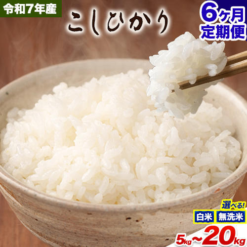 【6ヶ月定期便】無洗米 も 選べる 定期便 こしひかり 白米 or 無洗米 選べる精米方法 定期便 内容量 5kg 10kg15kg 20kg 白米 精米 無洗米 熊本県産(南阿蘇村産含む) 単一原料米 南阿蘇村《お申込み翌月から出荷》