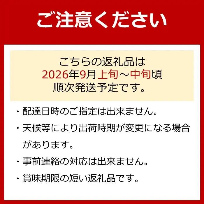 種あり巨峰2kg ぶどう 有田巨峰村 三木と園の露地栽培あま～い 先行予約