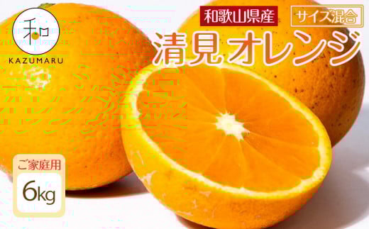 家庭用 森本農園の手選別 清見オレンジ 6kg 和歌山県産 サイズ混合 ［北海道・沖縄・離島配送不可］［RN38］［2026年2月上旬から5月中旬頃順次発送予定］