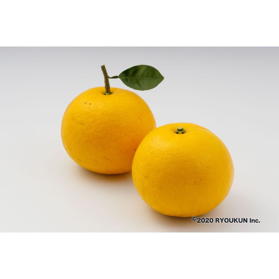 宮崎県産　グレープフルーツ（4kg以上：段ボール入り）