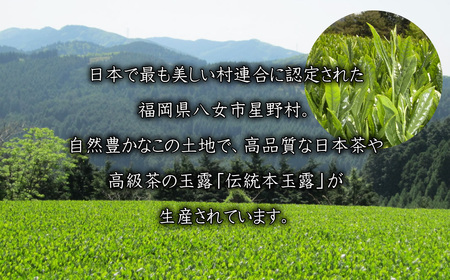 【八女茶】奥八女星野茶 高木茶園の深蒸し高級煎茶(深蒸し茶）100g×1袋 4A13
