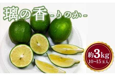 レモン 璃の香（りのか） 約3kg 10～15玉 【吉田レモニー】【2026年8月下旬から2027年4月下旬発送予定】