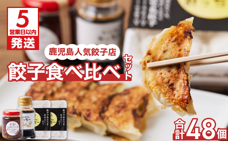 
鹿児島人気餃子店のお得な餃子食べ比べセット　K118-001
