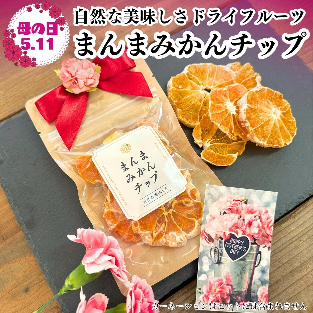 【ふるさと納税】【母の日ギフト】みかん ドライフルーツ まんまみかんチップ 100g ( 20g × 5袋 ) 和歌山県産 果物使用 国内製造 【みかんの会】 | みかん ドライフルーツ 果物 くだもの 食品 人気 おすすめ 送料無料